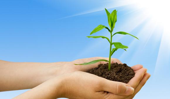 乐鱼体育EDX光谱仪在环境标准HJ 780 -2015——《土壤和沉积物 无机元素的测量波长色散X射线荧光光谱法》上的应用方案