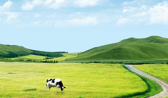 乐鱼体育ICP3000在土壤监测中的应用解决方案