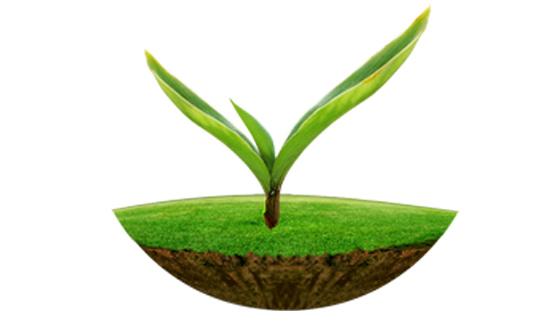 乐鱼体育原子吸收及原子荧光在土壤监测中的应用解决方案